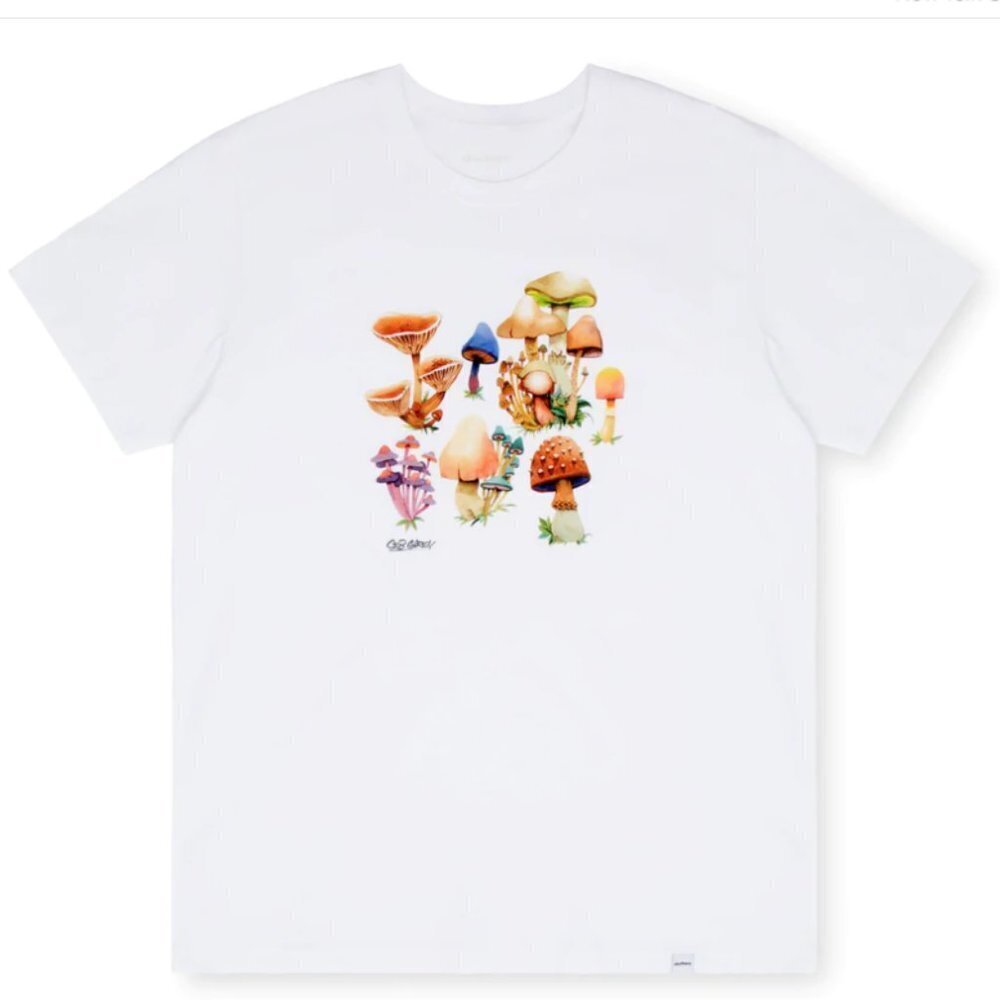 Druthers Women's Organic Cotton Seb Gorey Watercolor Shrooms T-Shirt - M